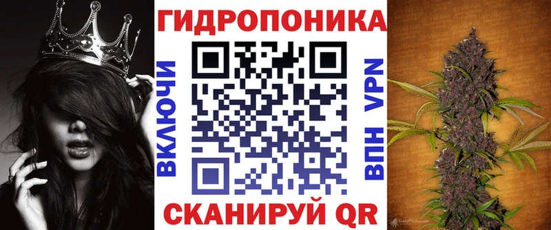 Как найти закладки Лесной COCAIN  Codein  Alpha PVP  Гашиш  Меф  Каннабис 