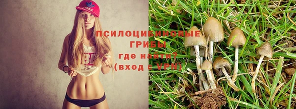 МДПВ Алзамай